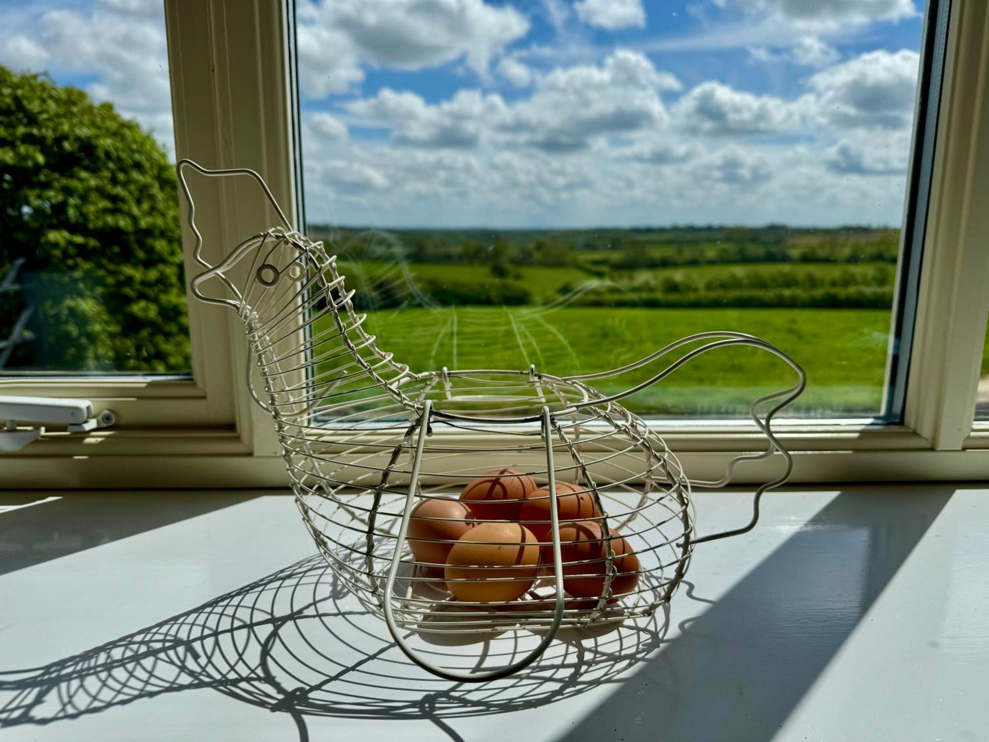 Cockley Hill Farm Bed&Breakfast Brackley  Exteriör bild